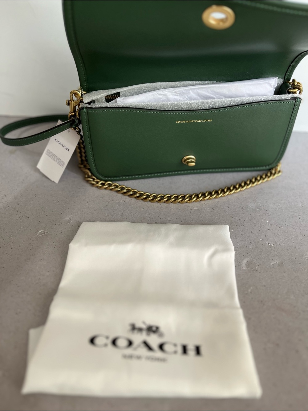 NWT Coach The Dinky Shoulder Bag Gold Chain/Hunter Green Leather LIMITED CW641 - Picture 10 of 13